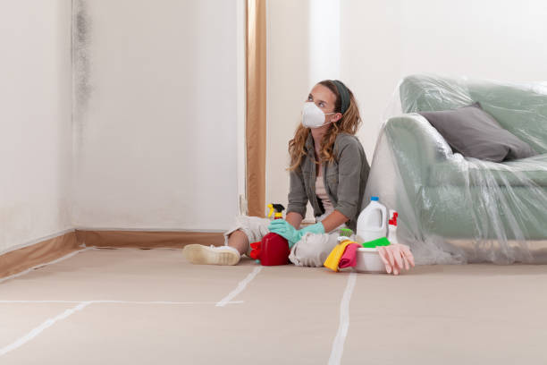 Reliable Mold Remediation contractor in Lottsburg, VA by WQB Mold Removal
